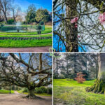 Besuch Botanischen Garten bayeux jardin botanique