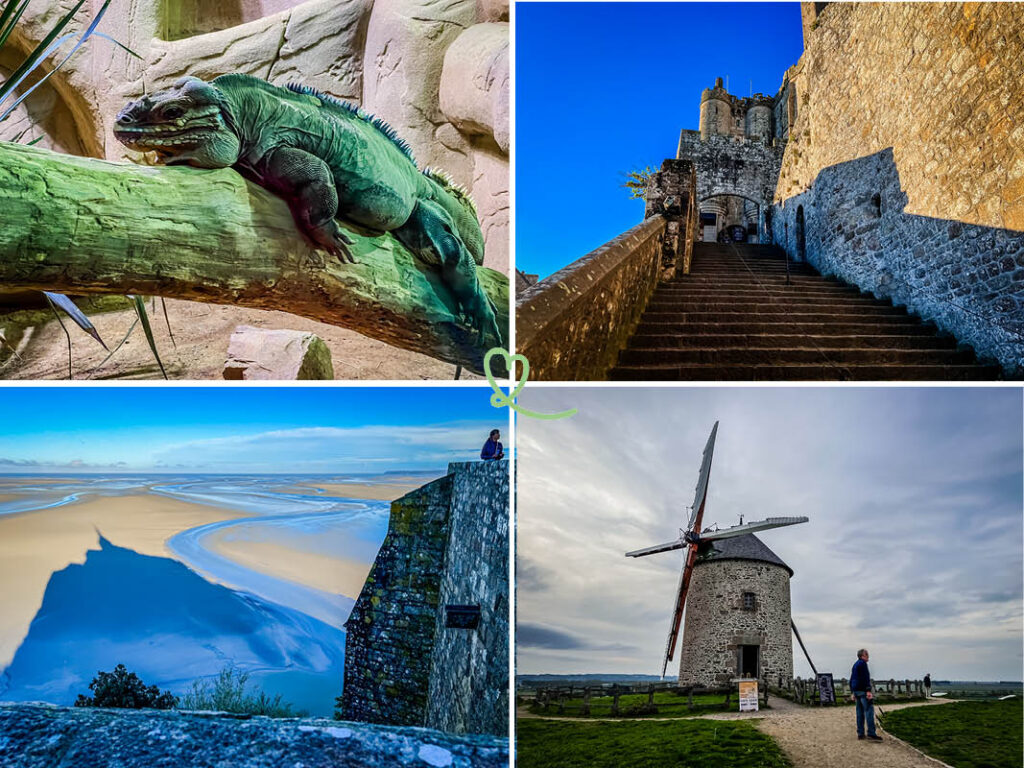 Encuentre todas nuestras sugerencias de actividades para niños si visita el Mont-Saint-Michel con niños: museos, playa, parques...